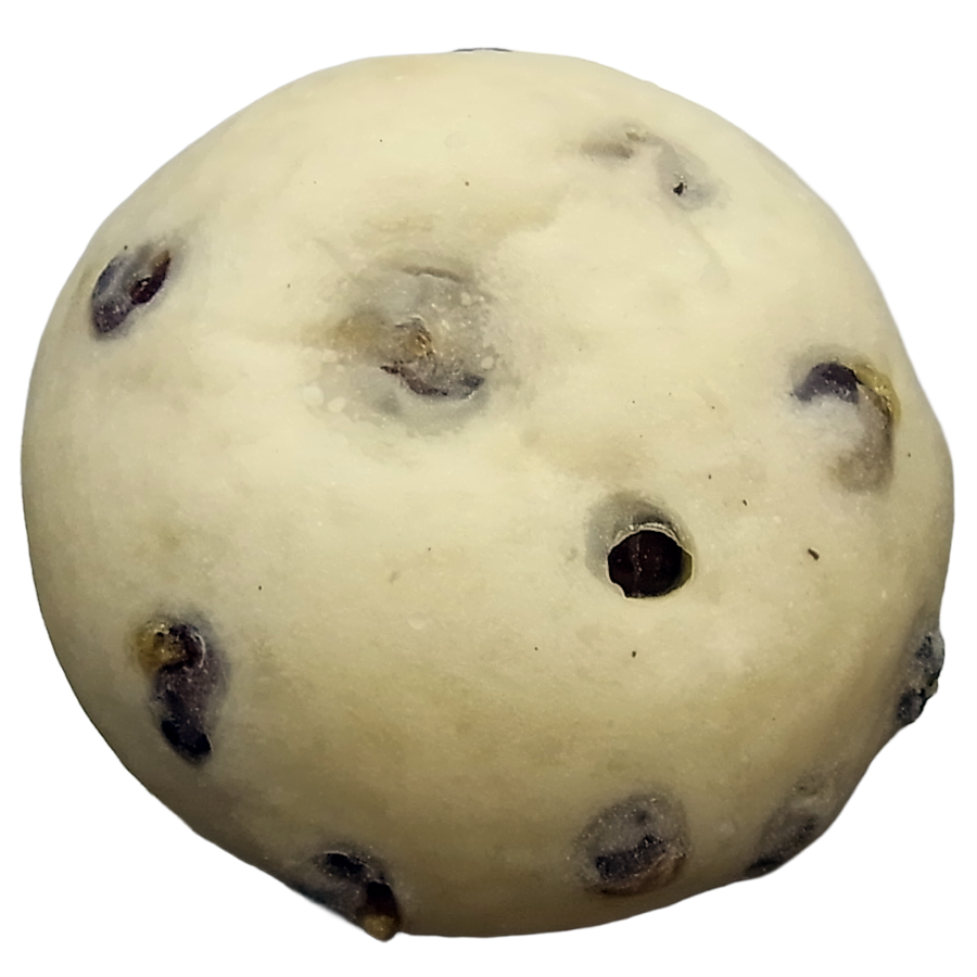 タルタルメンチの生コッペ